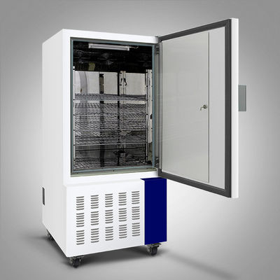 65C Kamer van de de Kamersus304 de Programmeerbare Temperatuur van de temperatuurvochtigheid