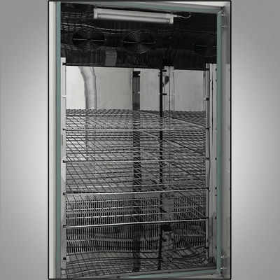 65C Kamer van de de Kamersus304 de Programmeerbare Temperatuur van de temperatuurvochtigheid