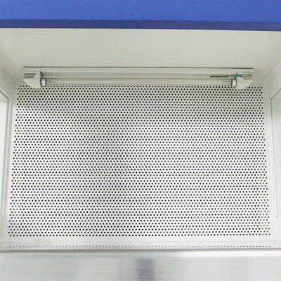 Class100 van het de Stroomkabinet 220v van de Laboratorium de Laminaire Lucht Horizontale Laminaire Stroom