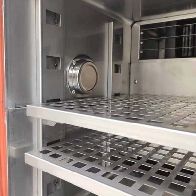 220V het Laboratorium Milieukamer van Constant Environmental Test Chambers 225L