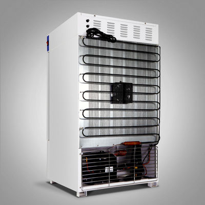 Biologische Koelincubatorlcd het Laboratorium Microbiologische Incubators van de Computercontrole