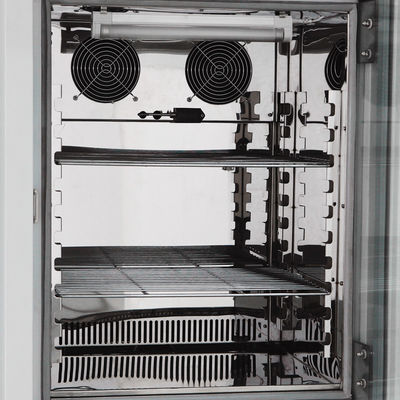 250L bevochtigde Co2-Incubator 304 Incubator van het Roestvrij staal de Binnenkooldioxide