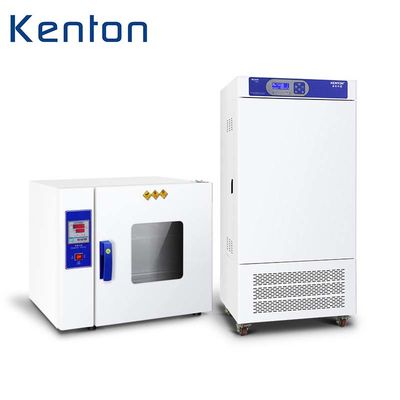 De aangepaste Genezende Industriële Elektrische Droogoven Op hoge temperatuur van Oven Hot Air Circulating Laboratory