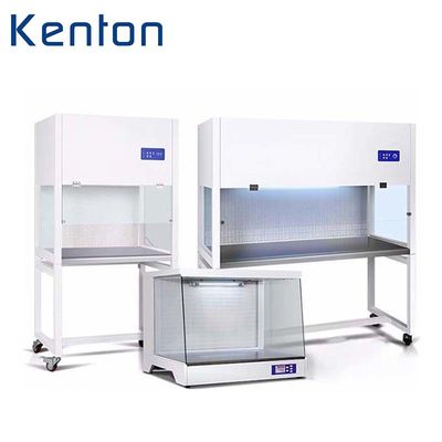 SS304 laminaire van de het Kabinets Horizontale Desktop van de Luchtstroom de Lucht Schone Bank voor Laboratorium